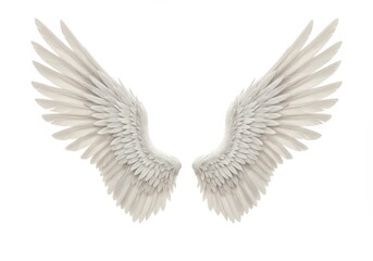 Obraz premium 3D Illustration of Detailed angel wings isolated on transparent background for design use