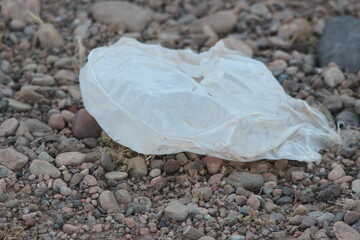 White plastic bag on the ground, Plastic environmental impact, Pollution