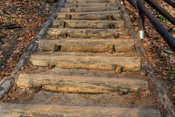 Rustic wooden staircase in autumn forest path with fallen leaves
