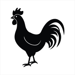 rooster vector illustration