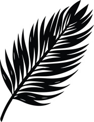 Fototapeta premium a palm tree leaf silhouette vector