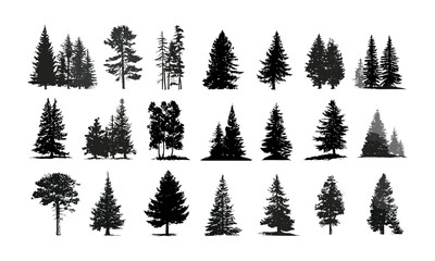 Obraz premium Woodland pine tree silhouettes, evergreen firs and spruces black shapes, vector illustration nature forest elements, outdoor trees pack, vintage tree art, white background, conifer collection.