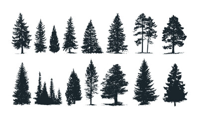 Obraz premium Vector illustration of pine and fir tree silhouettes, evergreen woodland shapes, black spruce forest icons, nature tree elements, isolated trees collection, outdoor clipart, transparent background.