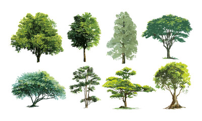 Fototapeta premium Collection of tree designs, vector illustration, natural elements, forest silhouettes, landscape icons, eco-friendly nature graphics, garden scenery, seasonal foliage shapes.