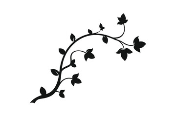 black and white floral background