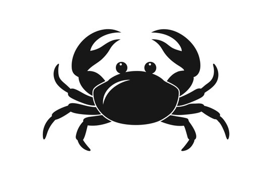 blue crab on white background