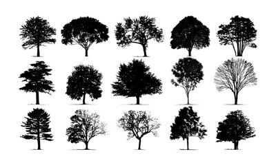 Fototapeta premium Vector illustration of trees in silhouettes, leaf patterns, forest canopy shapes, natural environment icons, woodland vector art, flora designs, garden elements, seasonal tree outlines.