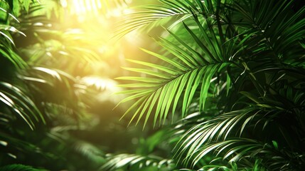 Lush green foliage bathed in sunlight, creating a vibrant, tropical scene