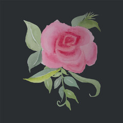 Pink rose watercolor card green leaves, on black stock vector illustration for web, for print