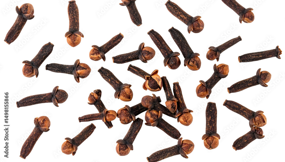 Poster whole cloves rotating and falling on transparent background