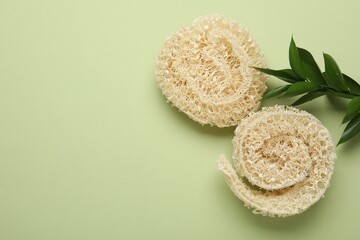 Natural loofah sponges and leaves on green background, flat lay. Space for text