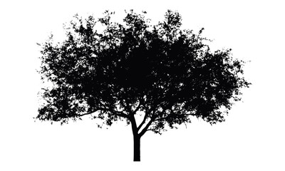 Fototapeta premium Vector illustration tree brush silhouette, real nature brush with clipping path, alpha channel transparency, green design elements, environmental artwork, plant textures, natural landscape.