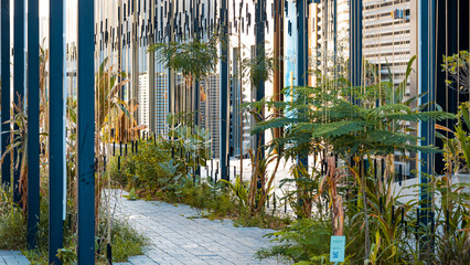 Green wall, eco friendly vertical garden , Modern green architecture. High quality photo