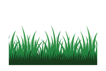 Fototapeta premium green grass on white background