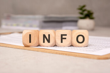 INFO text on wooden blocks placed on a financial spreadsheet - concept of business information.