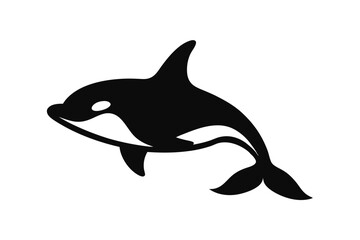 dolphin isolated on white background