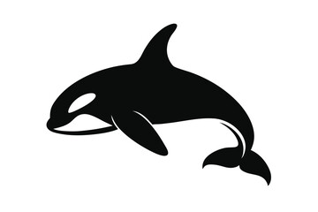 dolphin isolated on white background