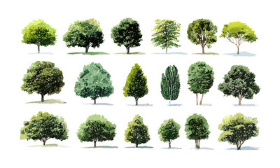 Watercolor Tree Collection Top-Down, Landscape Design Elements, Green Canopy Compositions, Botanical Illustration, Ecological Planning, Vector Illustration, Park Layout, Urban Landscaping.