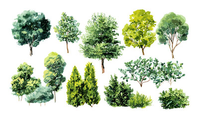Watercolor illustration of green trees, bushes, shrubs, top view for garden design, isolated PNG, vector illustration, outdoor plants, landscape architecture, natural foliage.