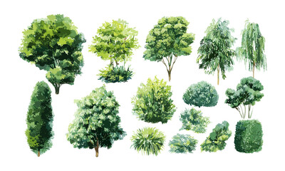 Watercolor illustration of green trees, bushes, shrubs isolated for landscape design plan, vector illustration, botanical elements, outdoor scenery, eco-friendly design, greenery.