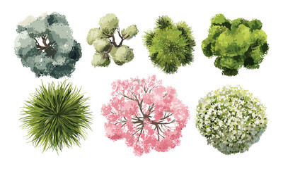 Vector illustration of tree top view in abstract watercolor style for landscape plan, architecture layout drawing, environment elements, garden design, urban planning, nature background.