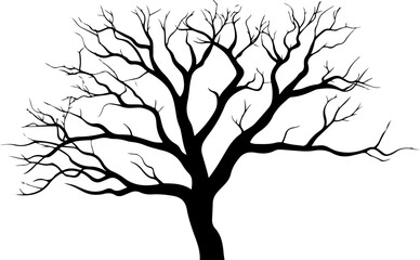 Obraz premium silhouette of bare tree design