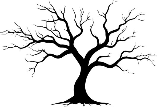silhouette of bare tree design