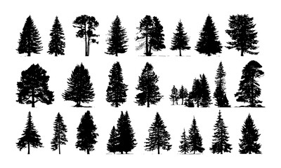Fototapeta premium Vector illustration of conifer tree silhouettes, Canadian pine collection, evergreen forest shapes, woodland tree bundle, nature landscape design, outdoor silhouette set, botanical greenery.