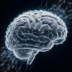 3d rendered illustration of human brain