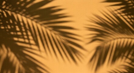 Obraz premium Palm Leaf Shadow on Warm 