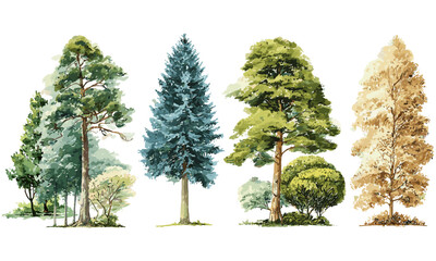 Fototapeta premium Vector illustration side view trees, green pine, blue spruce, lush ash, beige bush, watercolor forest set, hand drawn nature elements, woodland illustration, peaceful outdoor scenery.