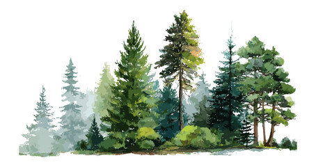 Forest tree illustration, mountain scenery, pine woodland, green forest environment, watercolor nature art, vector illustration, wild forest landscape, natural outdoors scene.