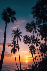 Palm trees at sunset by tropical ocean	