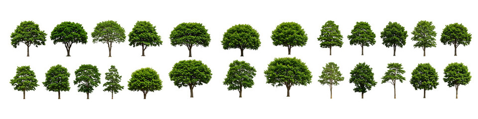 Fototapeta premium Collection of Green Trees for Landscape Design On Transparent Background