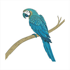 Parrot Vector