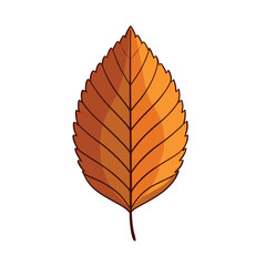 Leaf  isolated on white background. Leaf vector art illustration. Collection of beech leaf logo, icon vector.