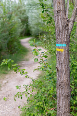 Blue and yellow markup of a hiking itinerary on a trunk in the countryside. Itineraries in France, repere excursion marking.
