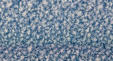 Intricate sparkling frost patterns on a winter surface