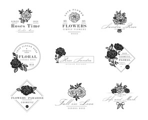 Red Rose Flower Vector Illustration. Pink rose for wedding design. 