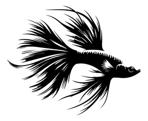 Black and white silhouette of a cockerel fish on a white isolated background. vector graphics. EPS.