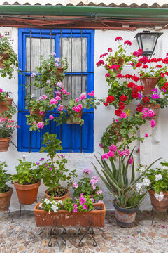 Centro District, Cordoba, Andalusia, Spain. Courtyard garden of a home.