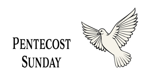 Obraz premium Illustration of a white dove with spread wings symbolizing the Holy Spirit, accompanied by the text Pentecost Sunday. Ideal for church events, religious posters, or Pentecost celebrations