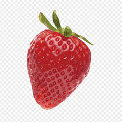 vector strawberry on white background