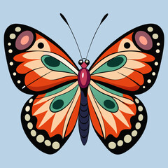 colorful butterfly vector illustration