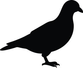 pigeon silhouette