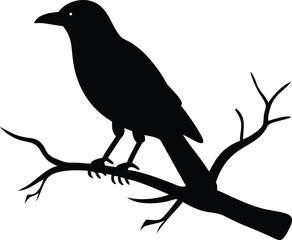 raven bird silhouette on a dead tree branch