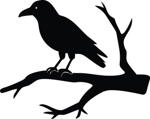raven bird silhouette on a dead tree branch