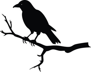 raven bird silhouette on a dead tree branch