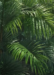 Fototapeta premium Intricate palm fronds, vibrant emerald, sunlight dappled, botanical, vacation