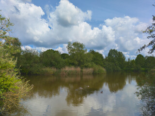 N&ouml;rdlicher Kronsbergsee in Hannover Bemerade